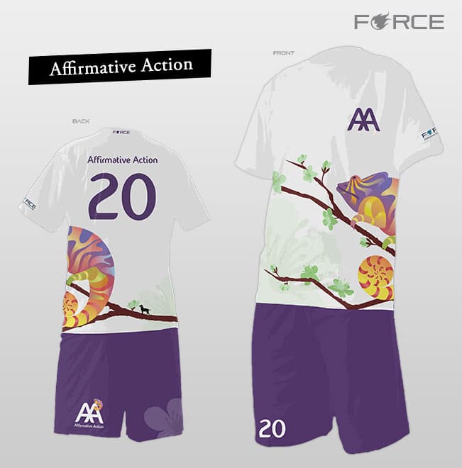 design affirmativeaction