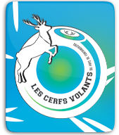 Les Cerfs Volants de Fontainebleau thumbnail