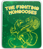 Fighting mongooses thumbnail