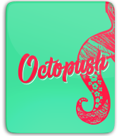 Emeraude Flying Disc Octopush Saint Briac thumbnail