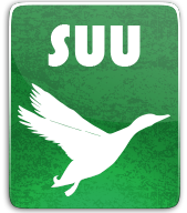 swansea ducklings thumbnail